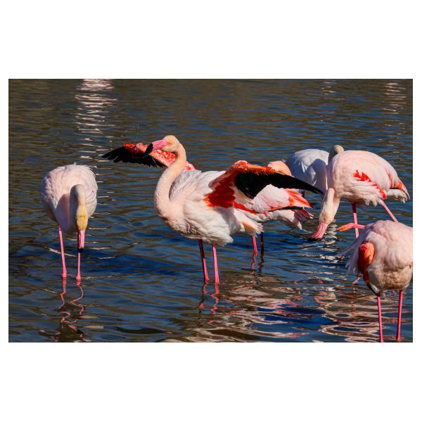 PHOTO84, CLUB, 84 , LUBERON